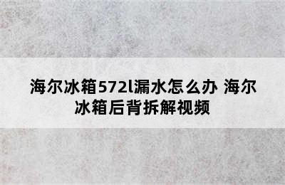 海尔冰箱572l漏水怎么办 海尔冰箱后背拆解视频